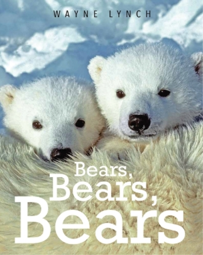 Bears, Bears, Bears