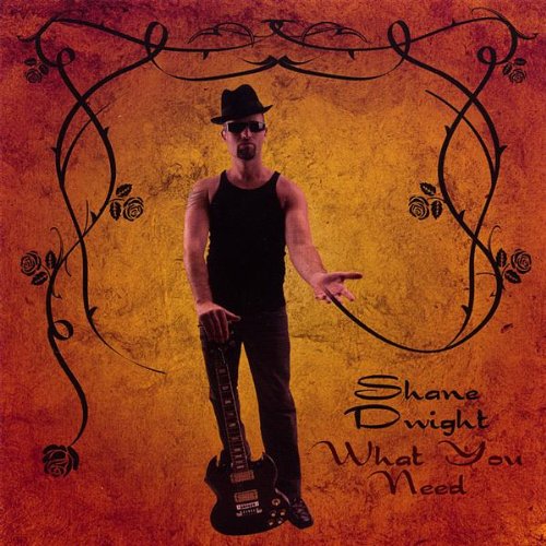 shane dwight - what you need