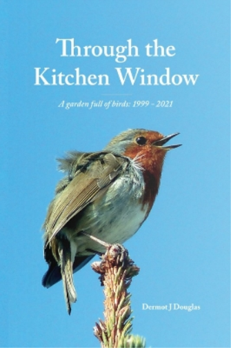 Through the Kitchen Window