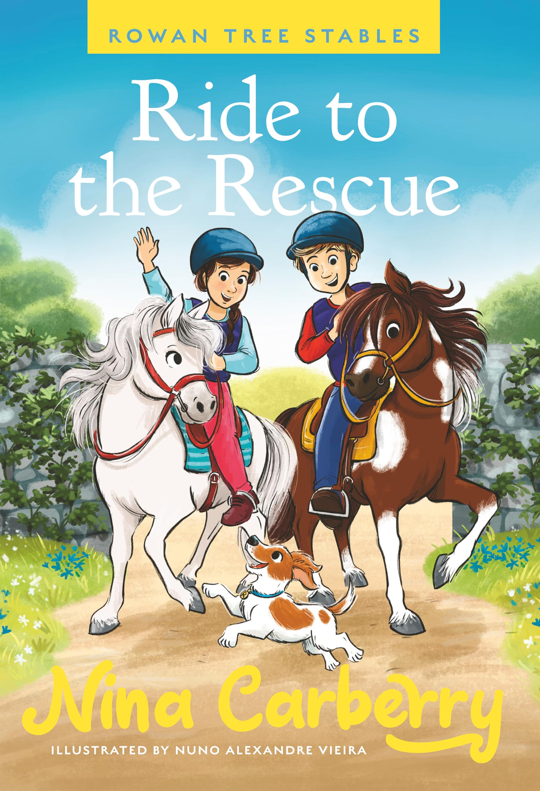 Rowan Tree Stables 1