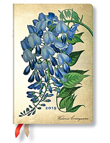 Paperblanks 2019 Blooming Wisteria