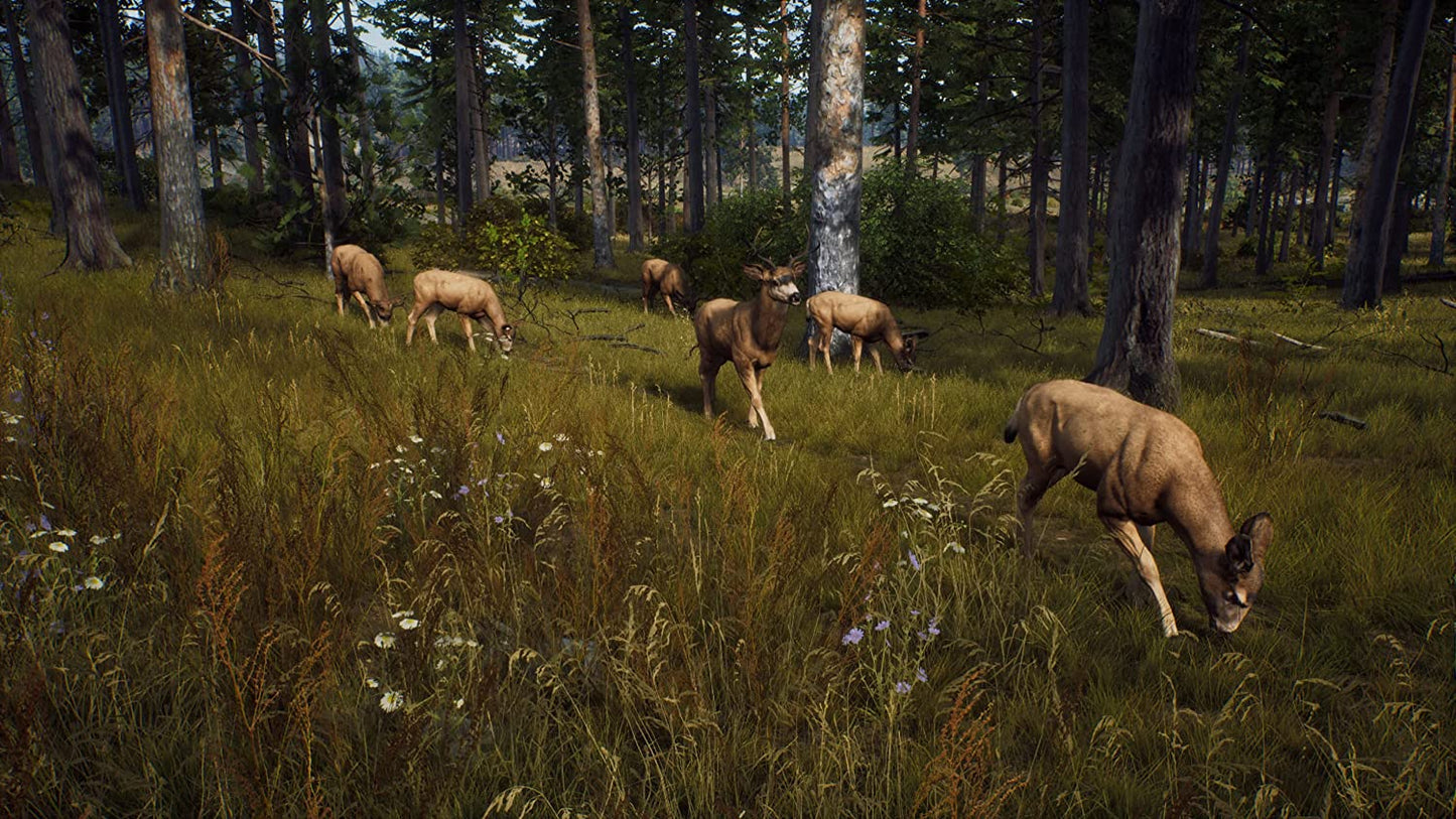 WAY OF THE HUNTER