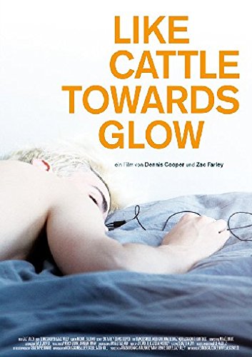 Like Cattle Towards Glow (OmU