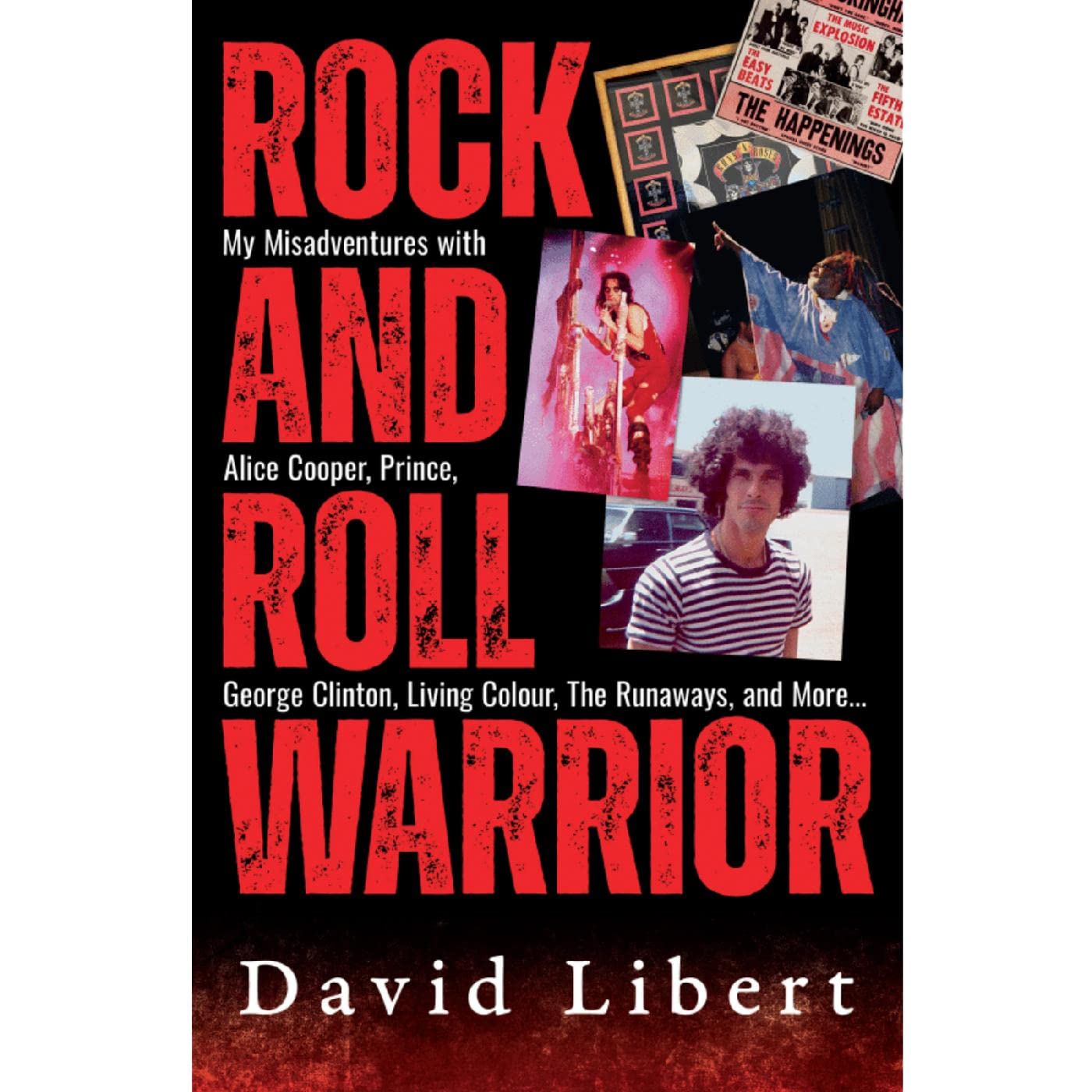 Rock And Roll Warrior (Hardcover Edition)