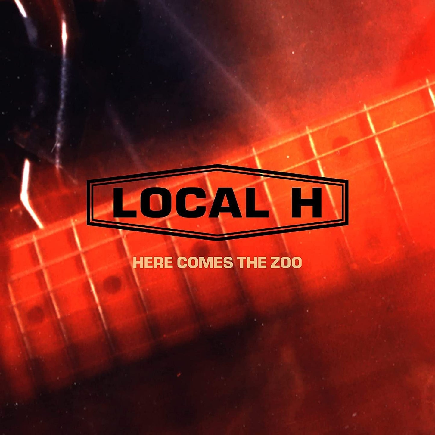 Here Comes the Zoo