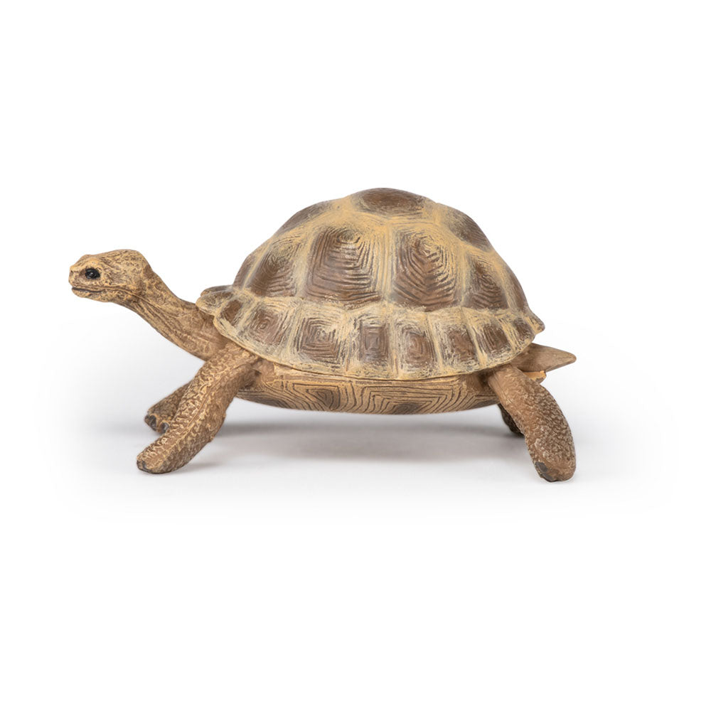 Papo Tortuga de Hermann (50264