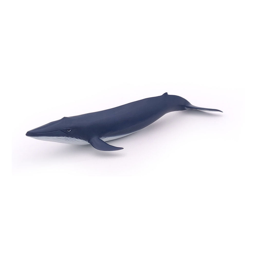 PAPO Marine Life Blue Whale Calf Toy Figure, Blue (56041)