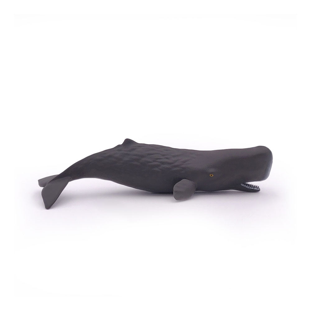 PAPO Marine Life Sperm Whale Calf Toy Figure, Grey (56045)