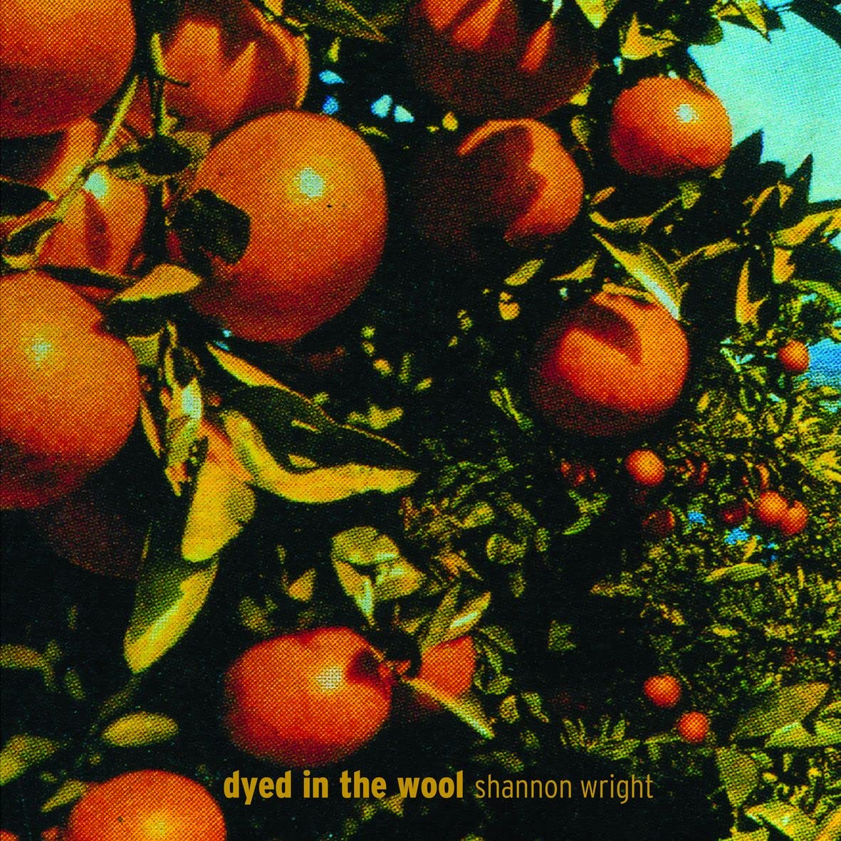 DYED IN THE WOOL (CLEAR VINYL)