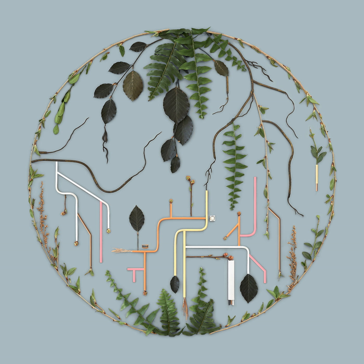 El Búho Tributaries Vol. 2