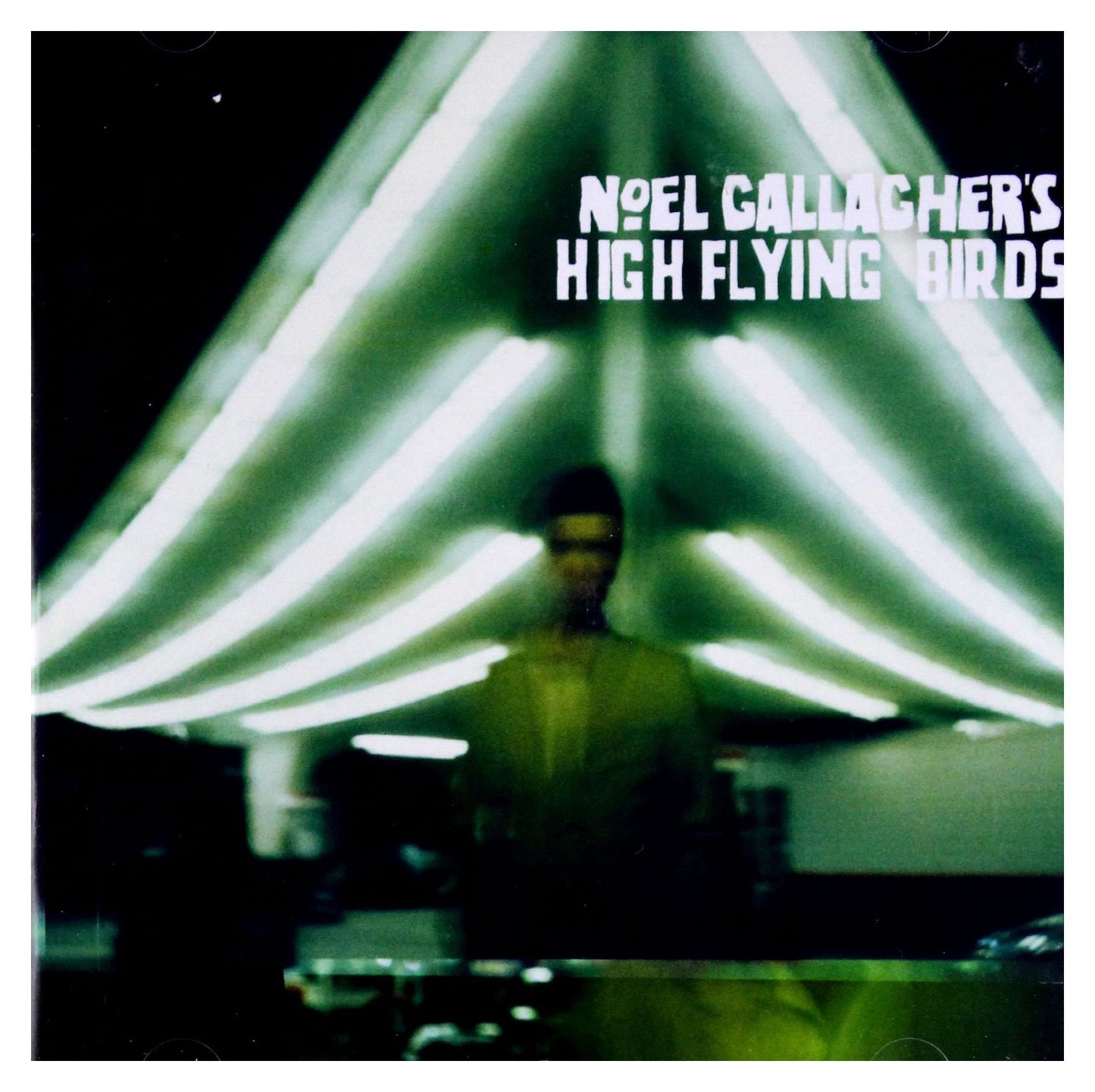 High Flying Birds