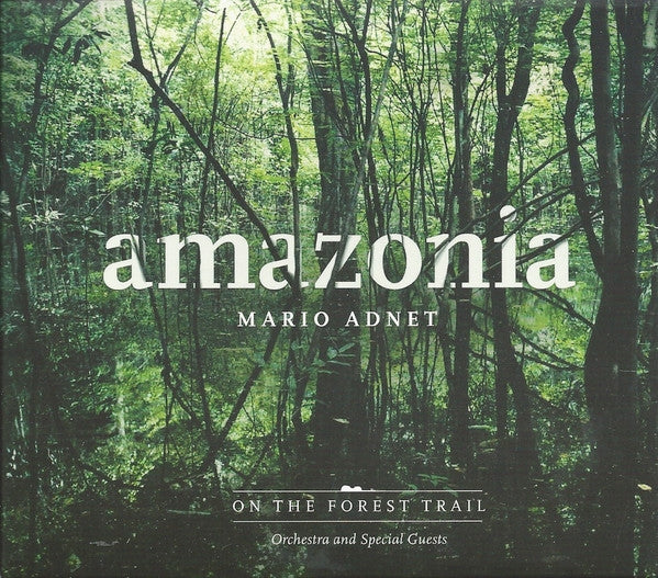On The Forest Trail