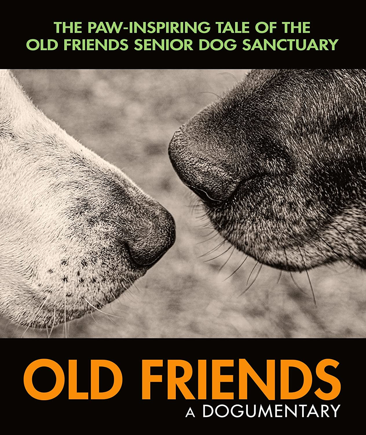 Old Friends - A Dogumentary