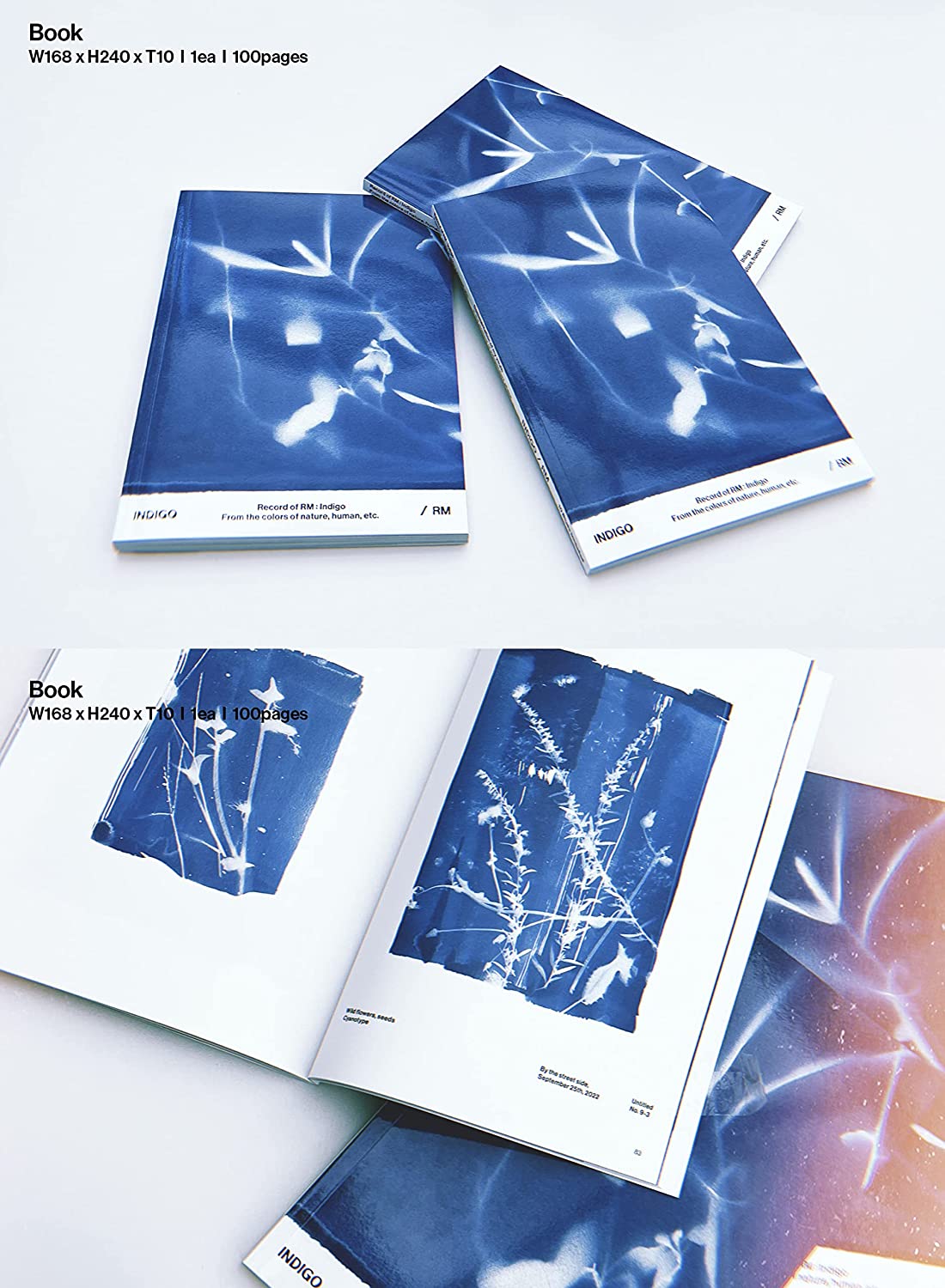 Indigo (Book Edition