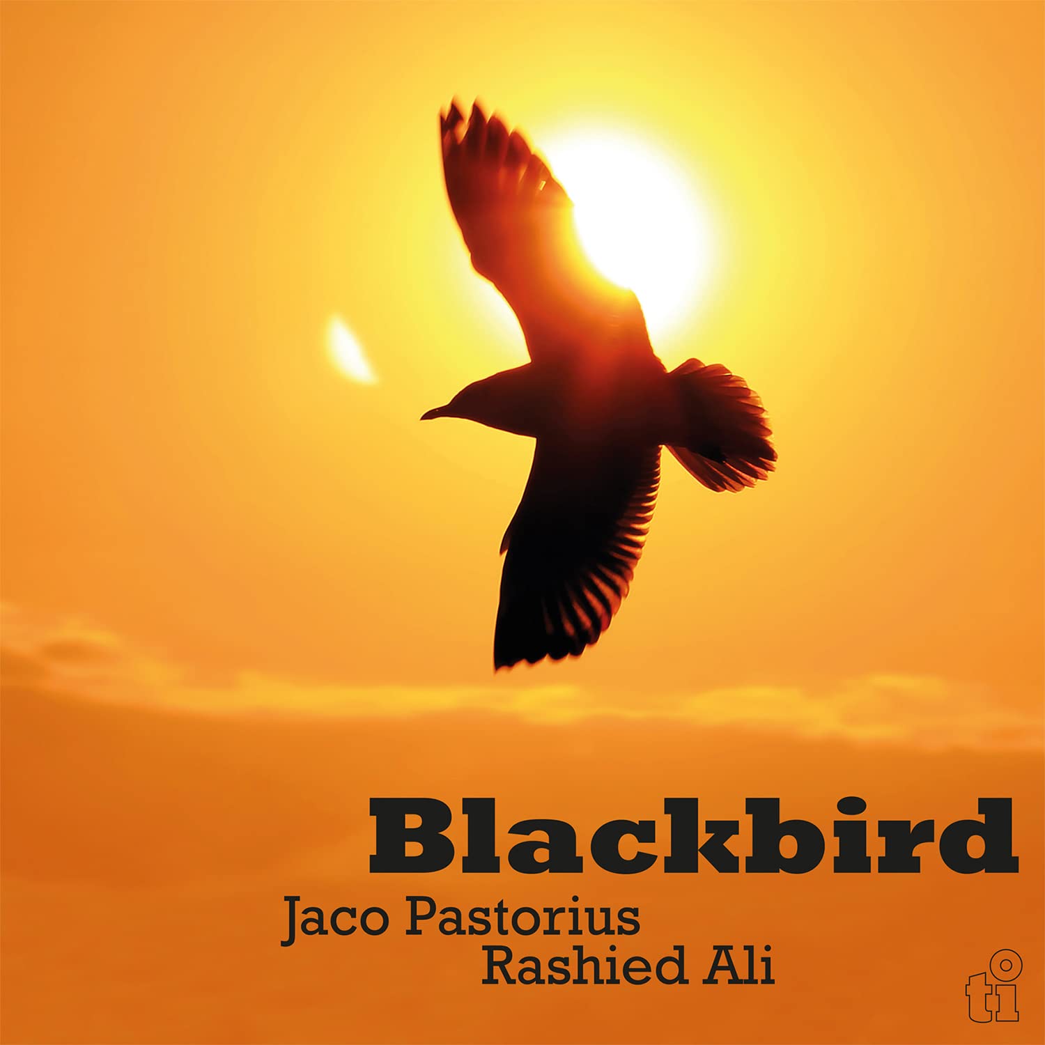 Blackbird (Deluxe sleeve)