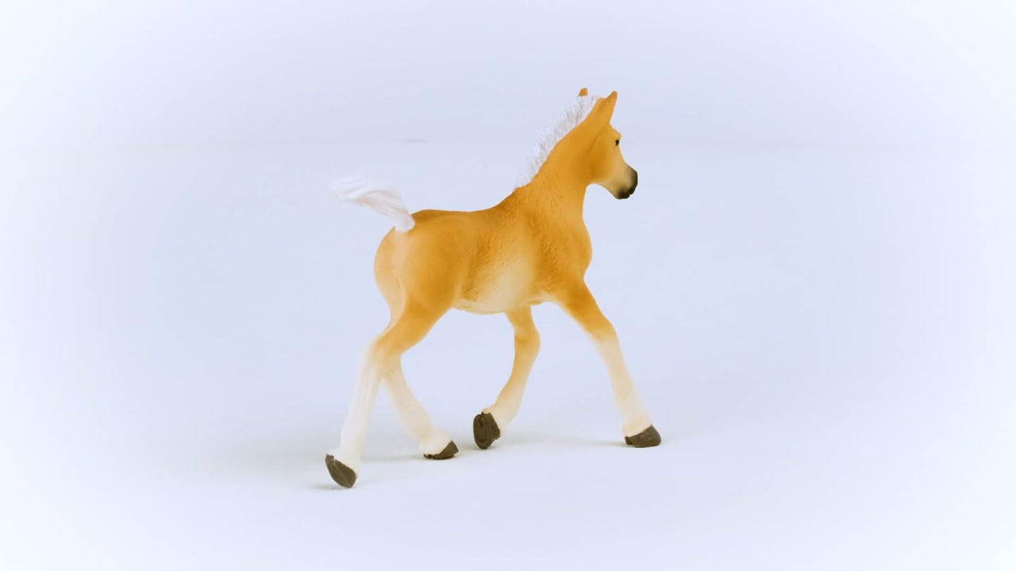 SCHLEICH 13951 Haflinger Foal Horse Club Toy Figurine for children aged 5-12 Years, White.