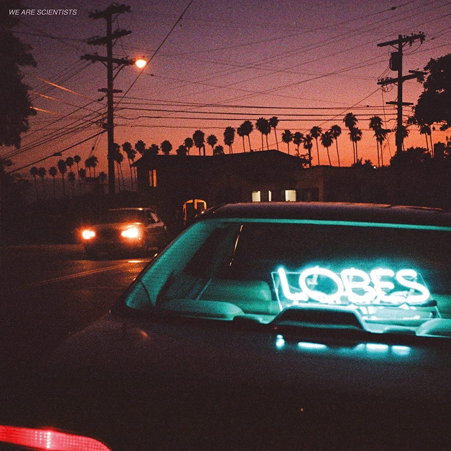 Lobes (Black Lobe