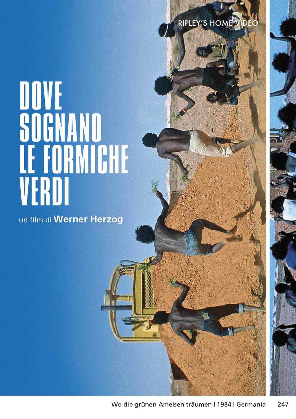 Dove Sognano Le Formiche Verdi - (Italian Import)