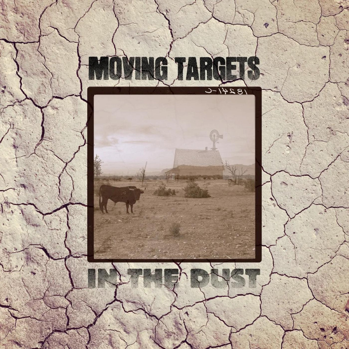 In the Dust