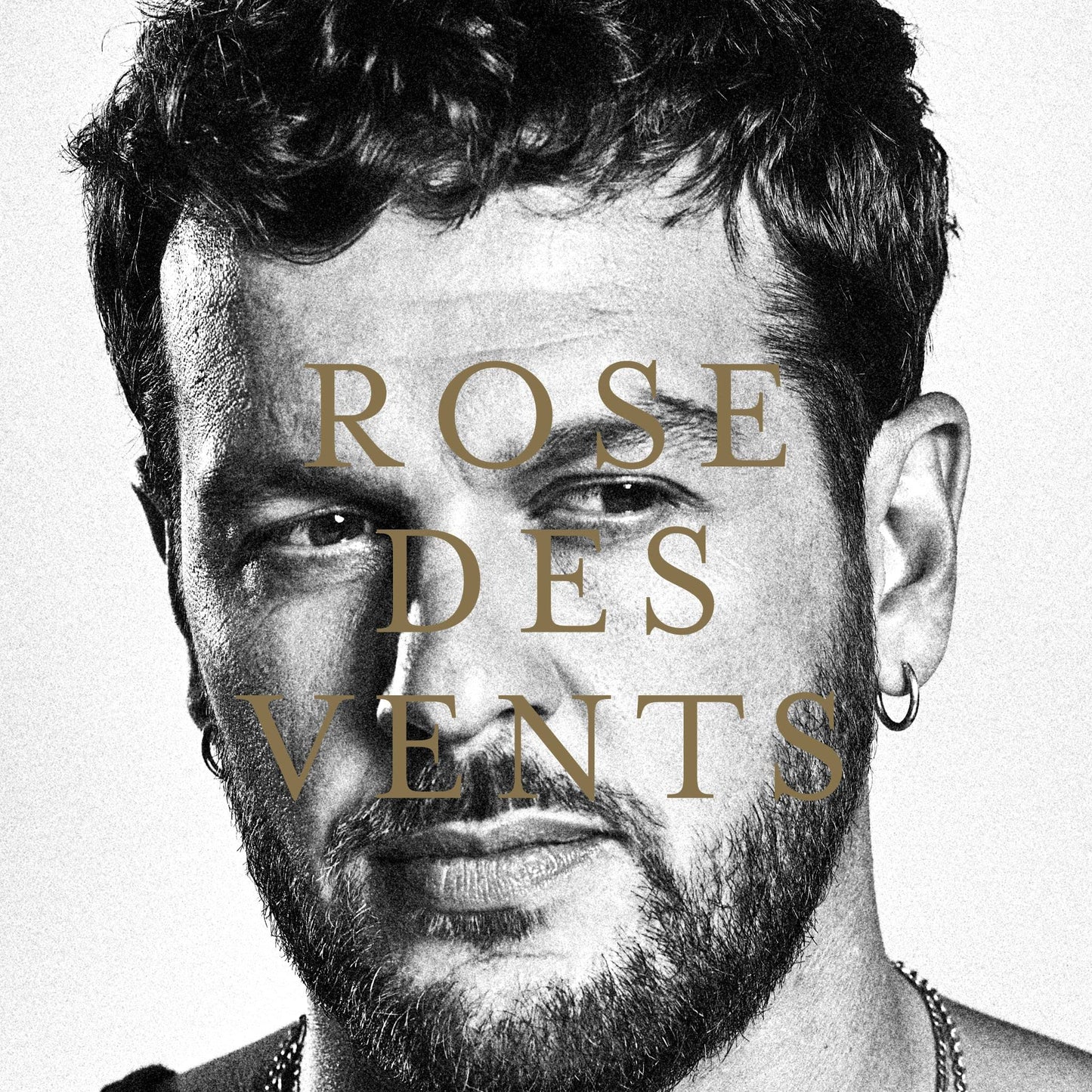 Rose Des Vents