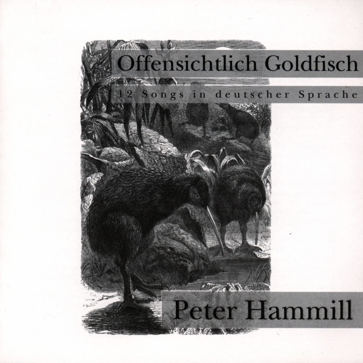 Offensichtlich Goldfisch