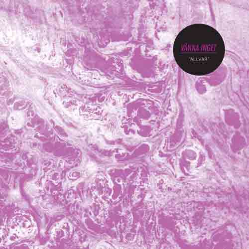 Allvar (White vinyl with purple marbles)
