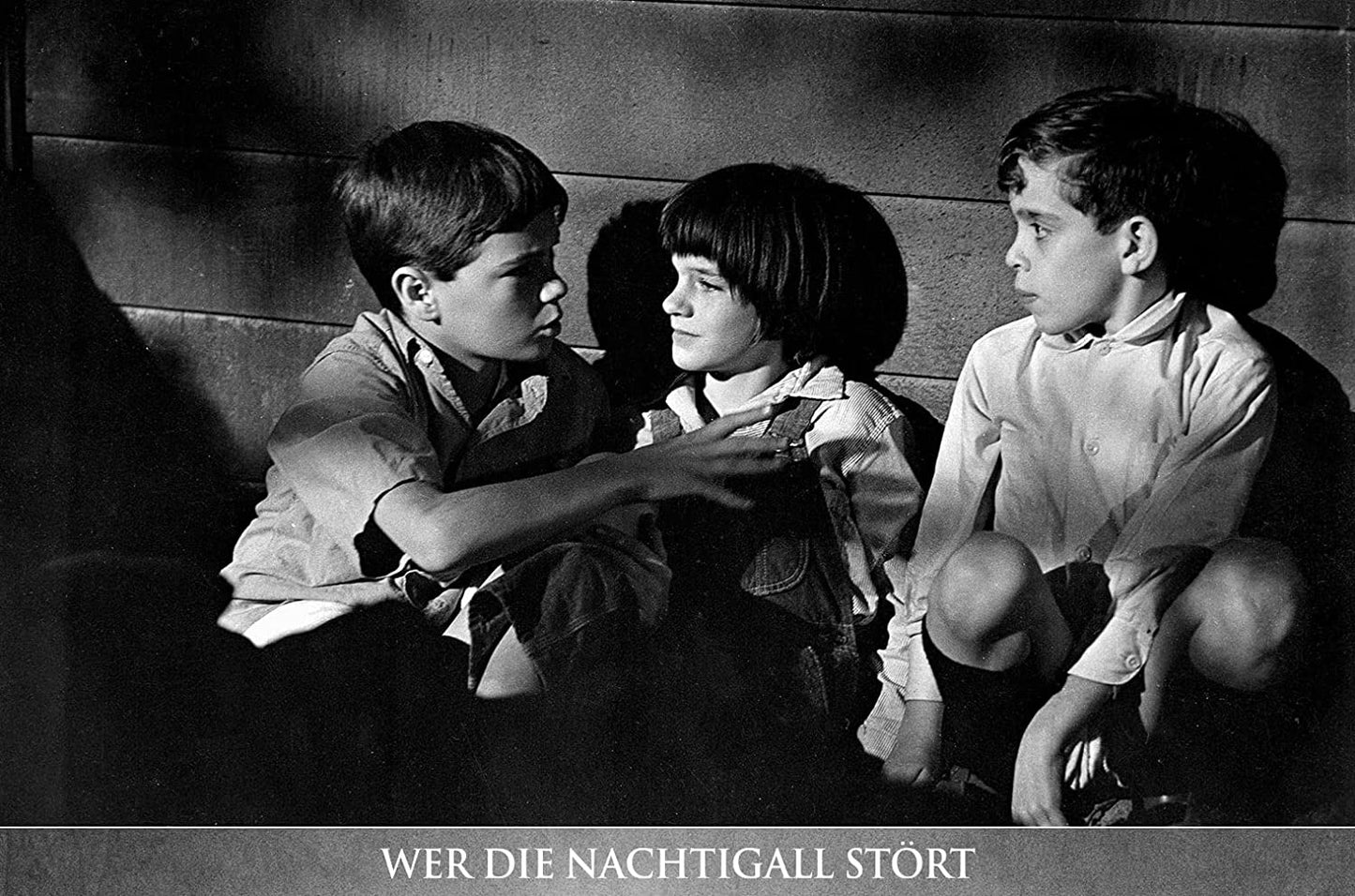 Wer die Nachtigall stört - Neues Bonusmaterial - (+ Bonus-DVD)