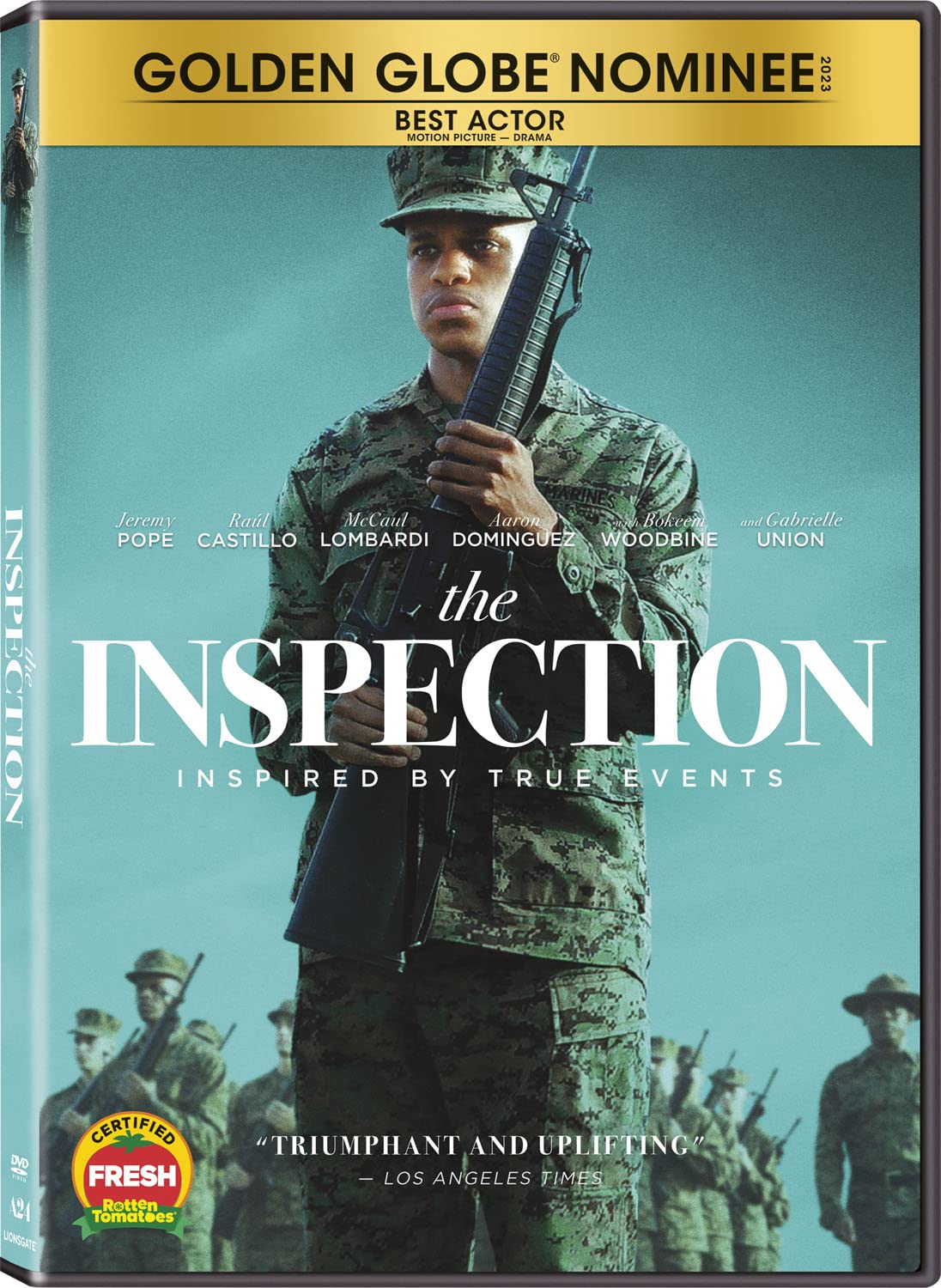 The Inspection