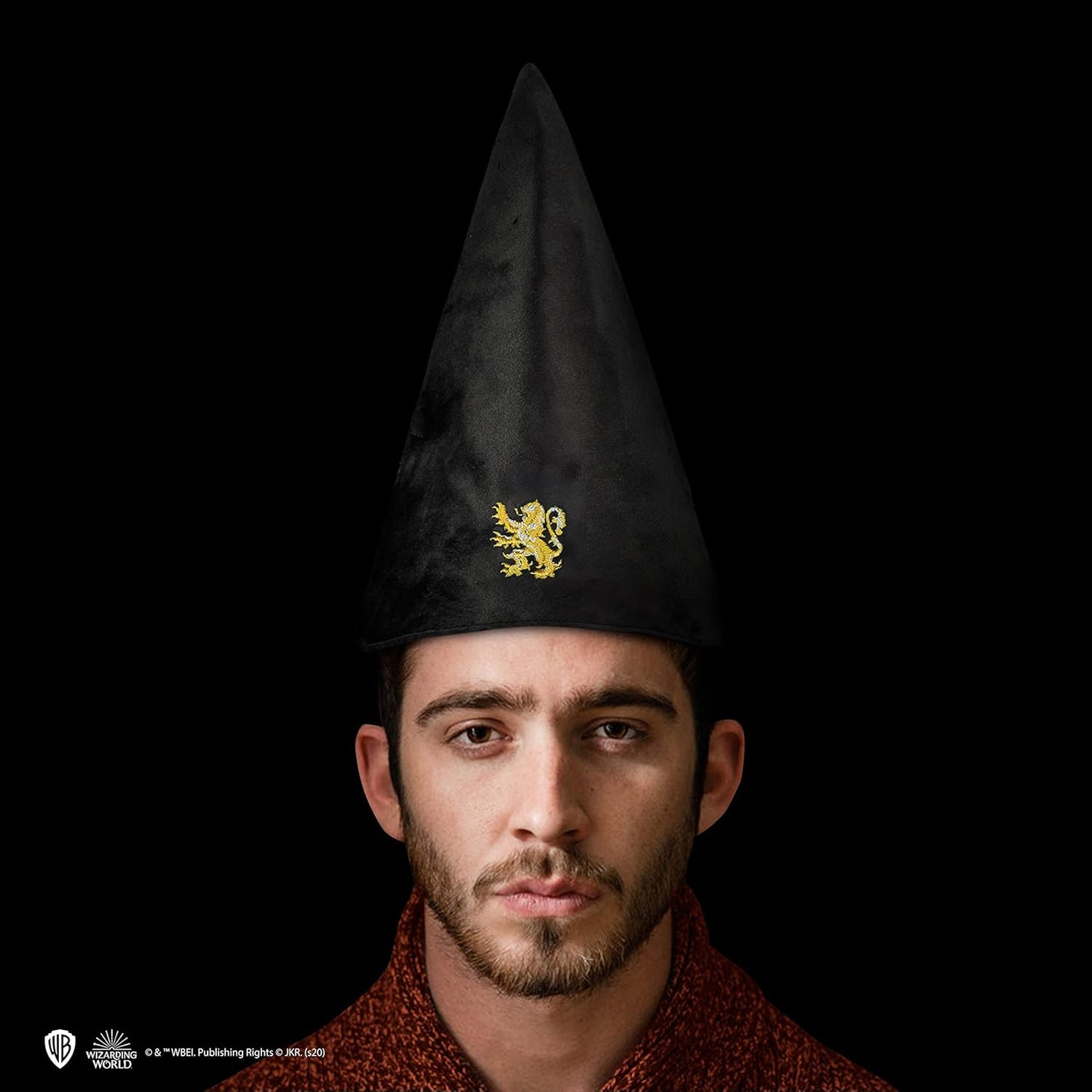 Cinereplicas Harry Potter Hogwarts Student Hat - Official Licensed Multicoloured