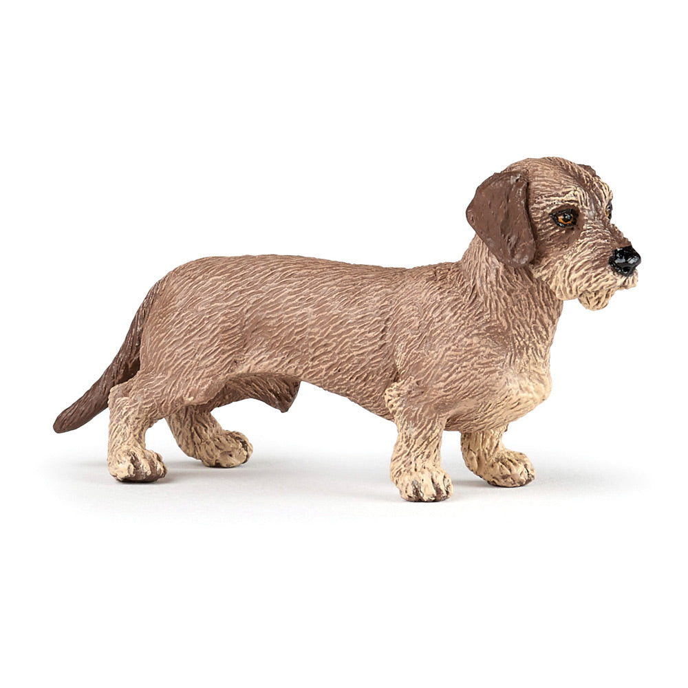 PAPO Dog and Cat Companions Dachshund Toy Figure, Brown (54043)