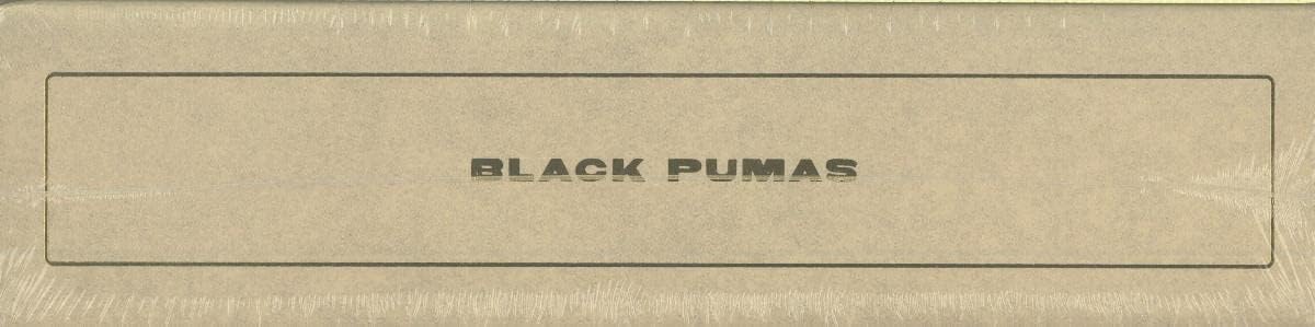 Black Pumas (Collectors Edition) (RSD 2022)-BLACK PUMAS