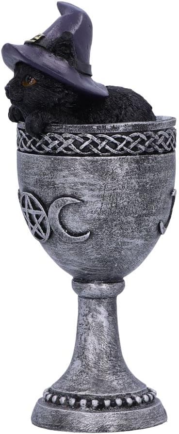 Nemesis Now Coven Cup, Silver, 15.7cm
