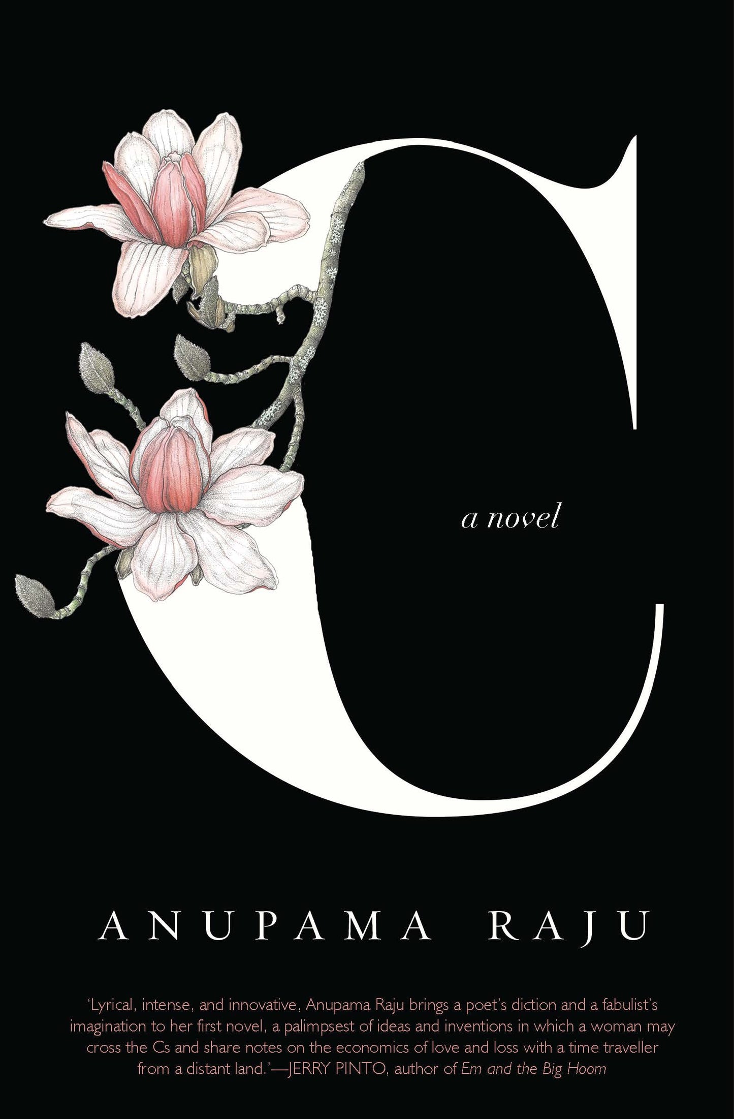 C A Novel