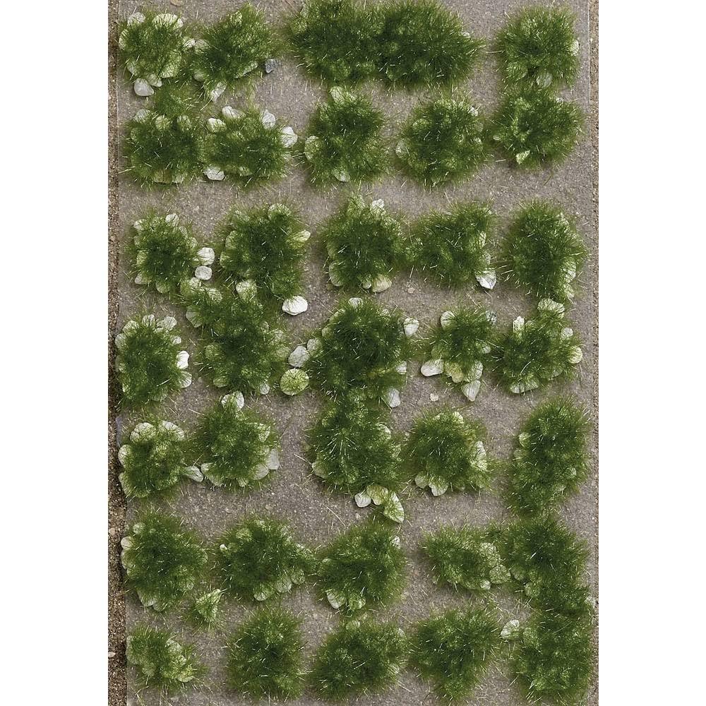 3557 grass tufts with stones summer
