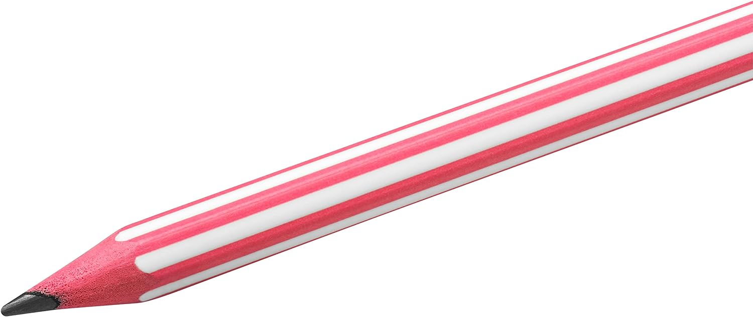 Bic LAPICES DE GRAFITO EVOLUTION STRIPES UNIDAD (12 unid.)