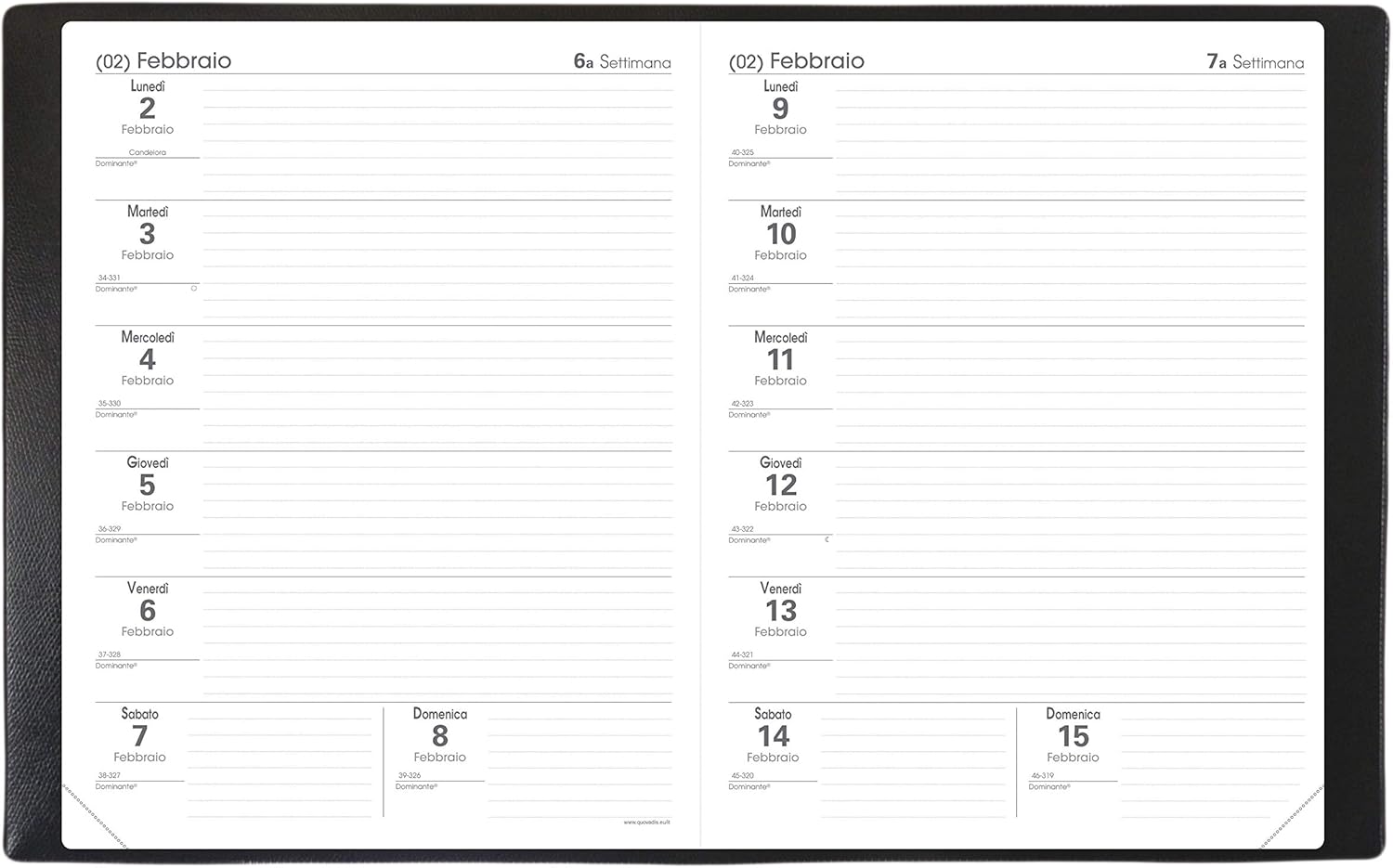 Quo Vadis 62604120MQ Year 2020 Teacher's Agenda IT Club - 21x27cm - 2 Weeks on 2 Pages - August/Lugl