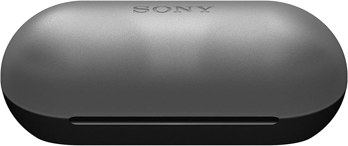Sony WF-C500 True Wireless Headphones (Up to 20 Hours Battery Life with Charging Case - Compatible with Voice Assistant, Built-in Microphone for Phone Calls, Bluetooth