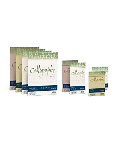 Favini 027007.13 Calligraphy Algae Elfenbein, 25 Stück, 90 g, 11 x 22 mm