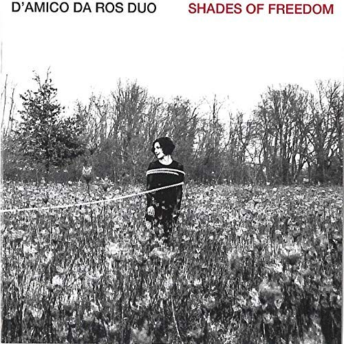 Shades of Freedom