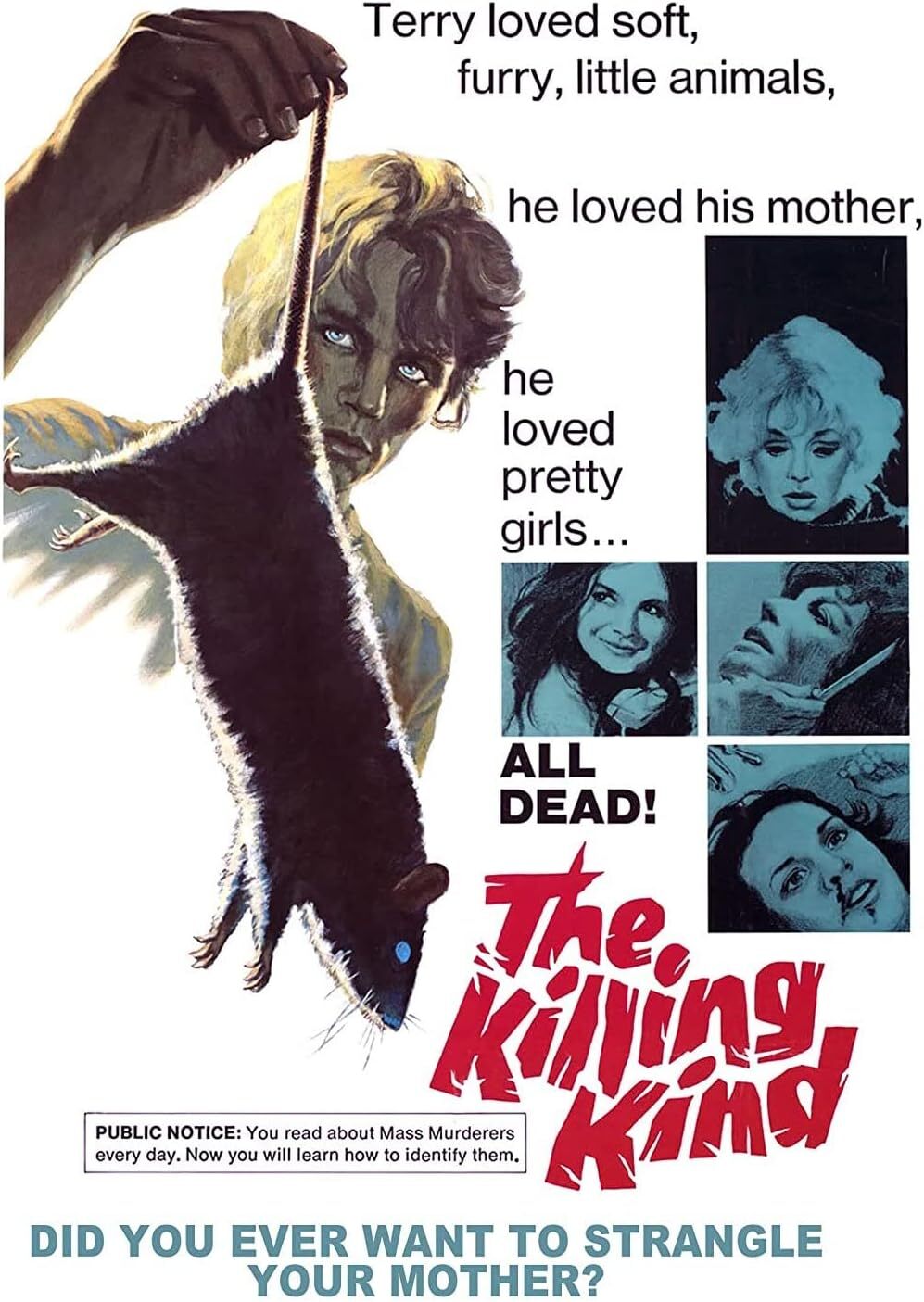 The Killing Kind