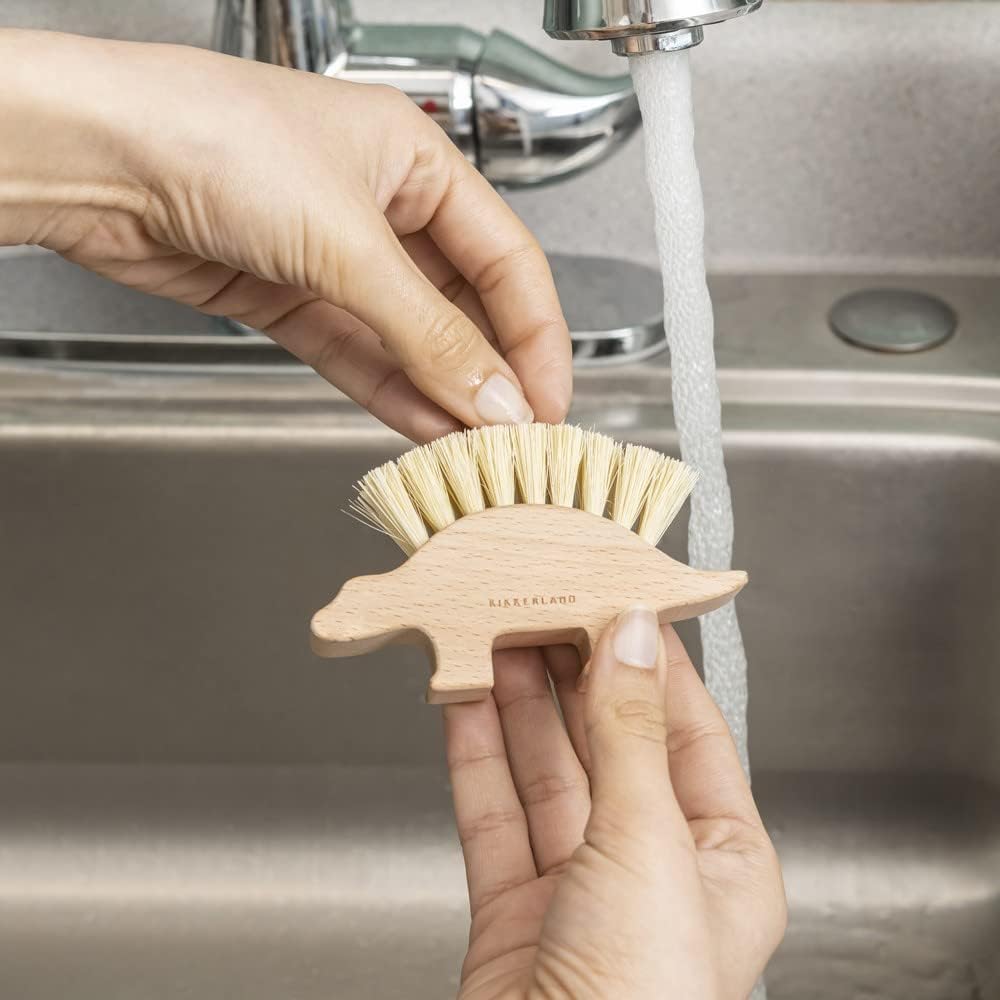 Dino Nail Brush (Hw47)