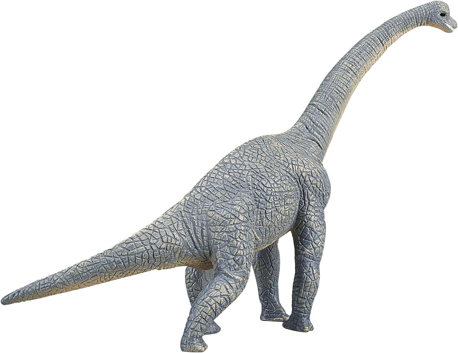 Science4you - Brachiosaurus, Figura de plástico, Talla XL (719.0