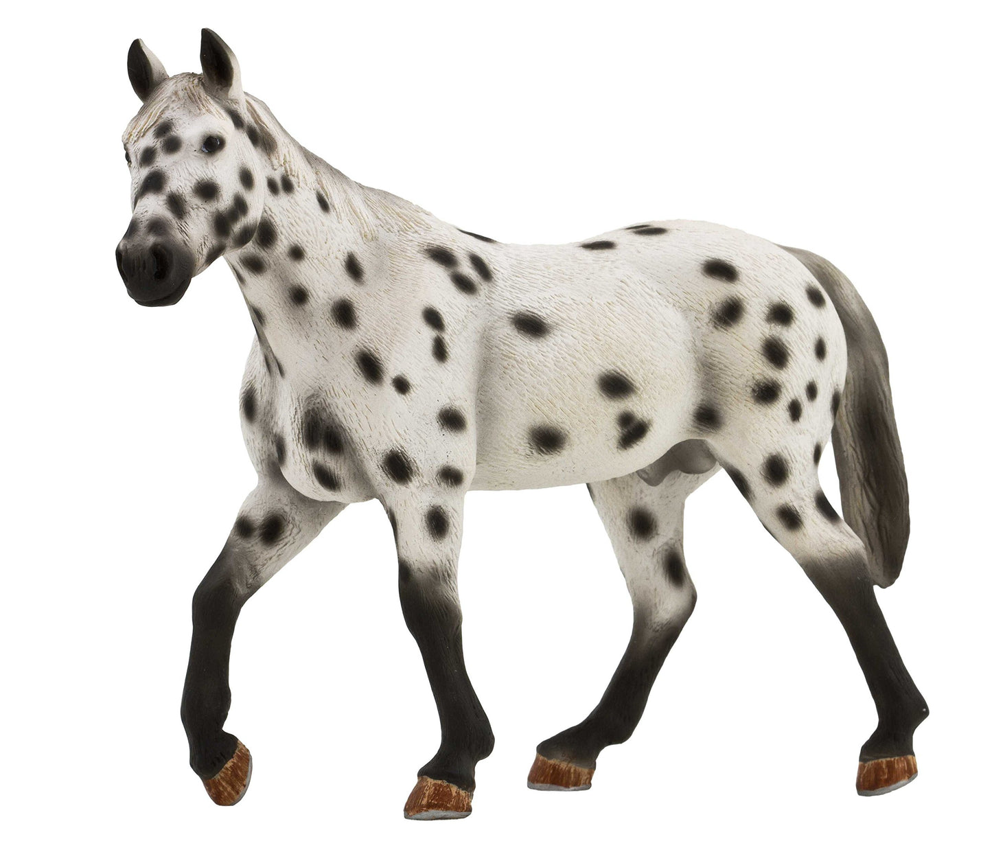 Mojö Fun Leopard Appaloosa Stallion
