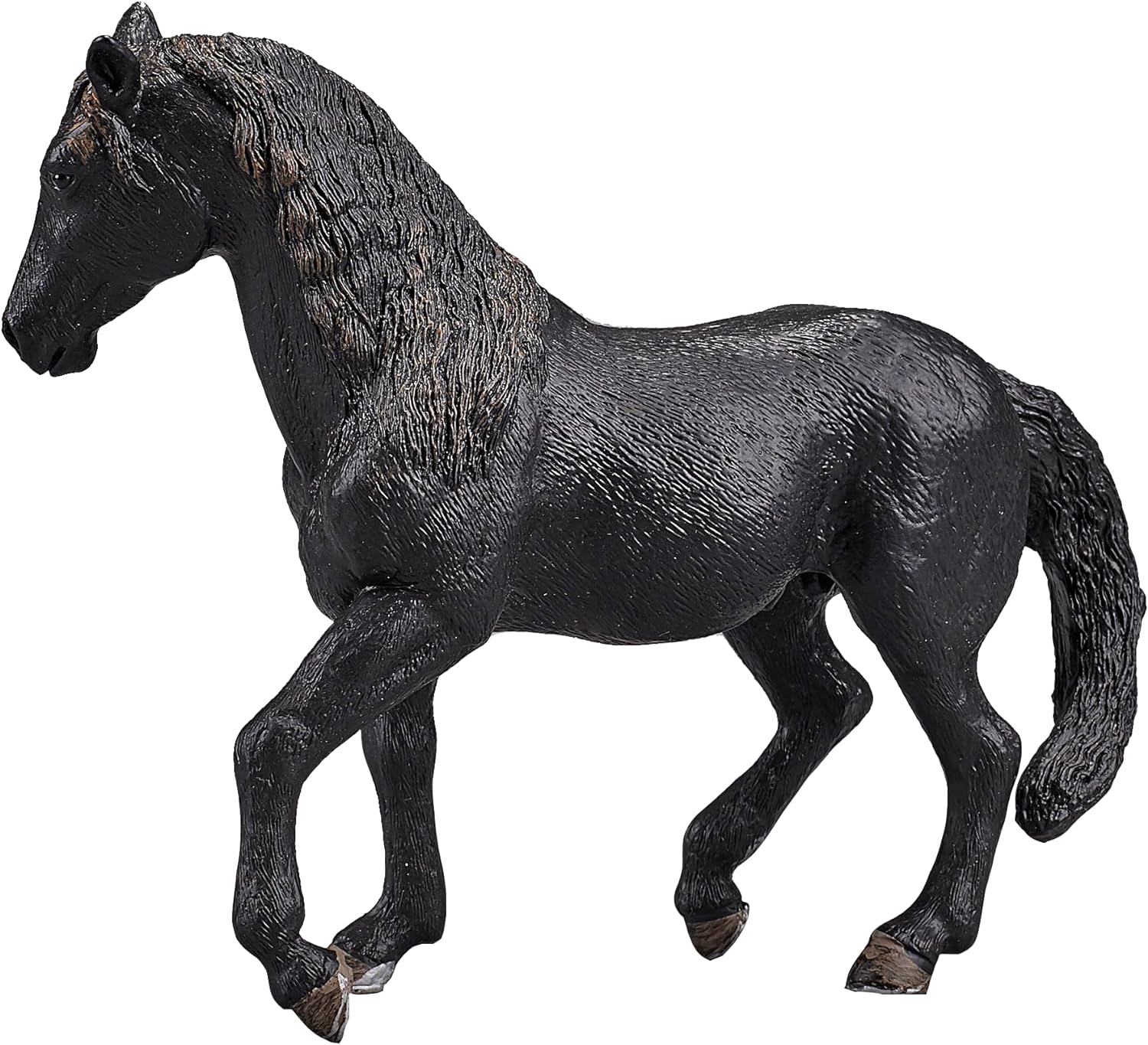 SINGLE UNIT - Andalusian Black