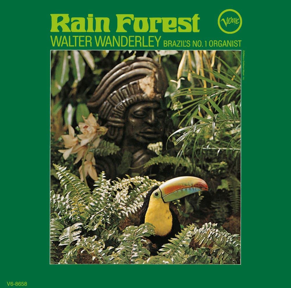 Rain Forest - SHM