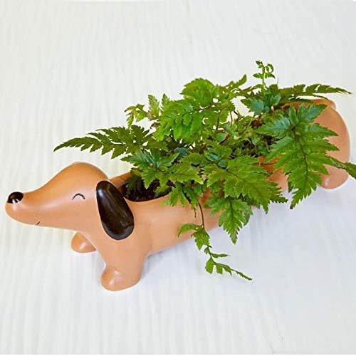 Daisy The Dachshund Planter (Pl17)