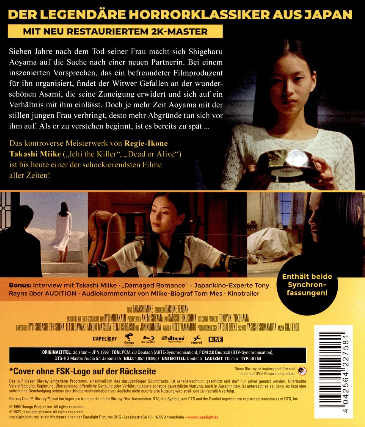 MIIKE, TAKESHI - AUDITION