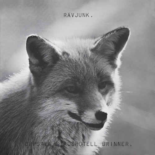 Uppsala Stadshotell Brinner (Vinyl LP)