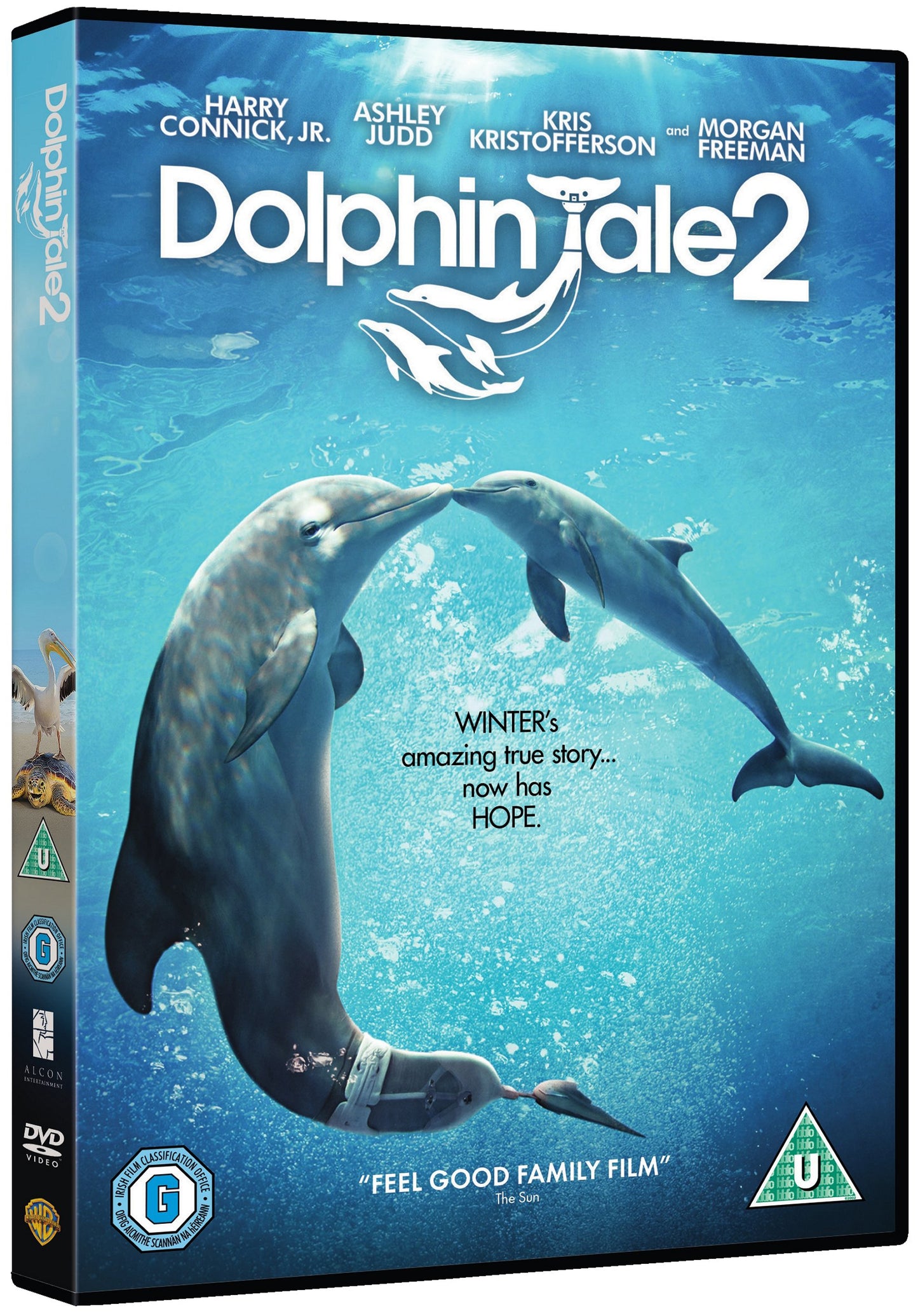 Dolphin Tale 2