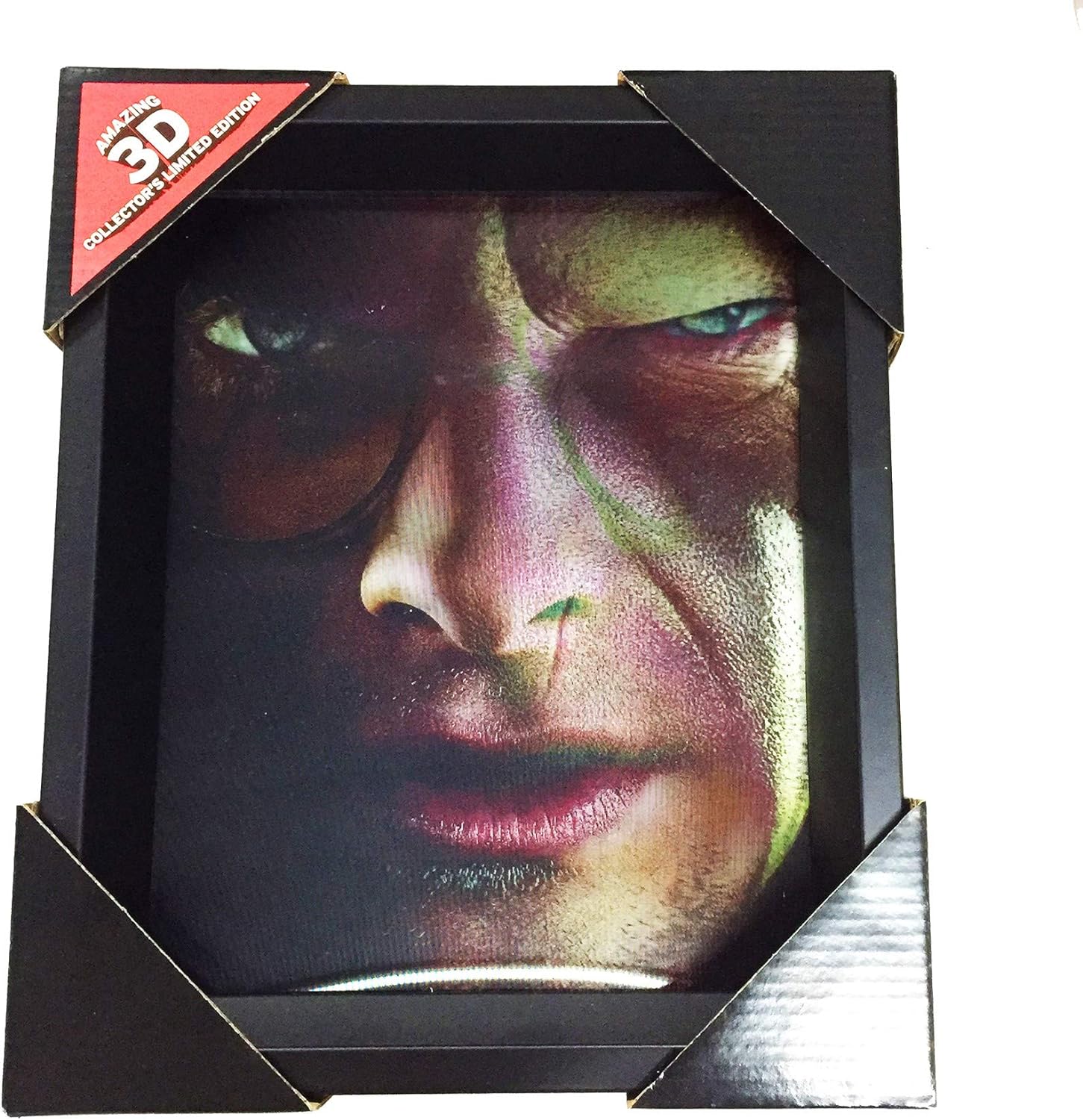 Pyramid HARRY POTTER CADRE 3D LENTICULAIRE HARRY VOLDEMORT FACES